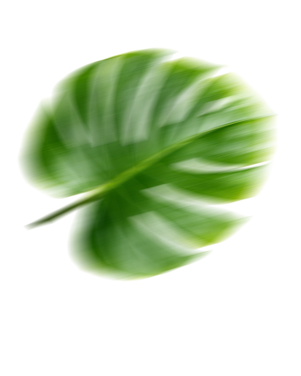 Decorative leaf design