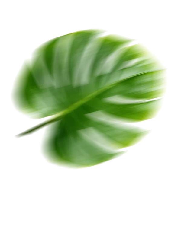 Decorative leaf design