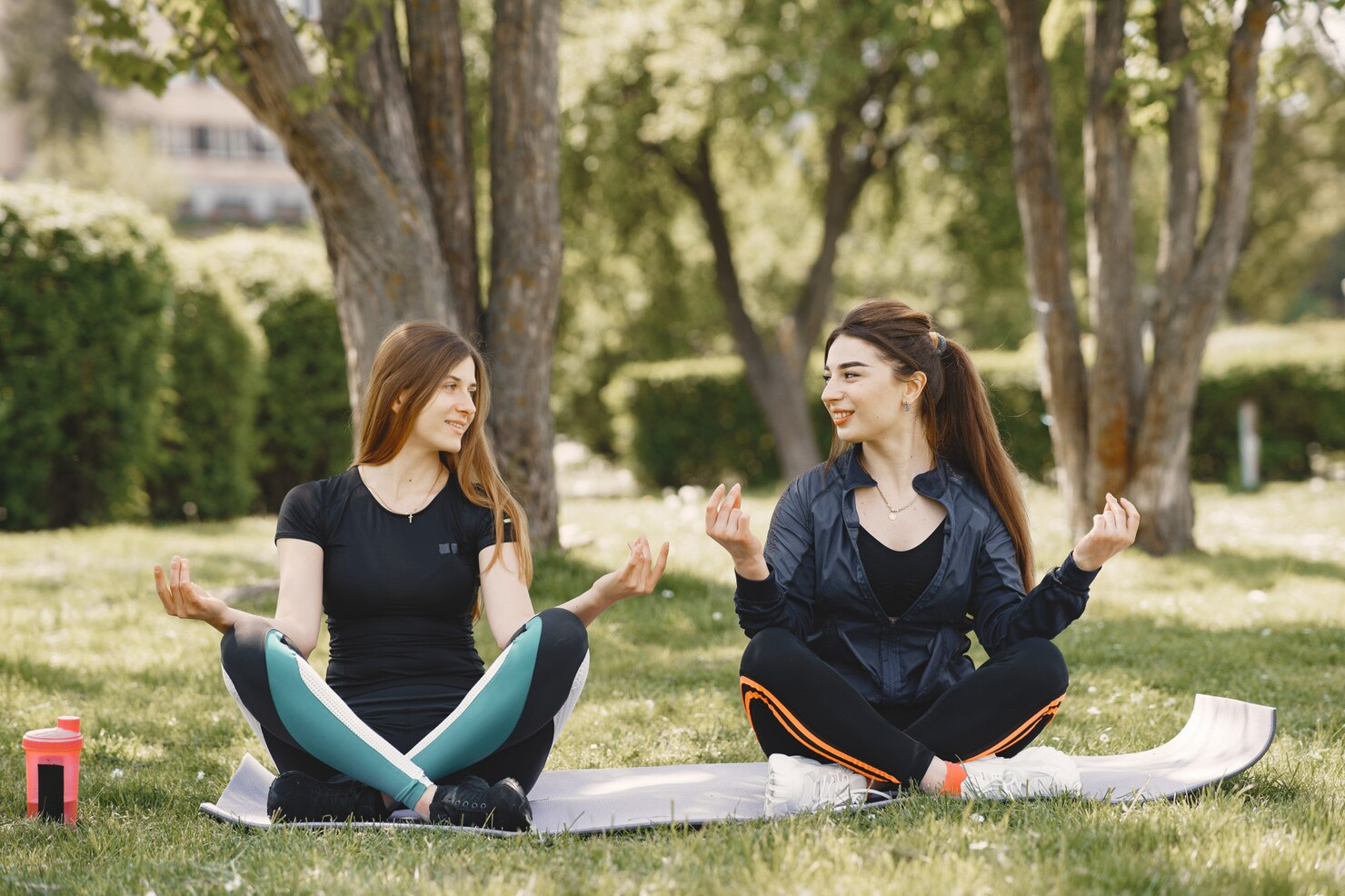 Lifestyle wellness therapy